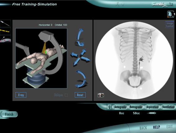 Practice Renal Access